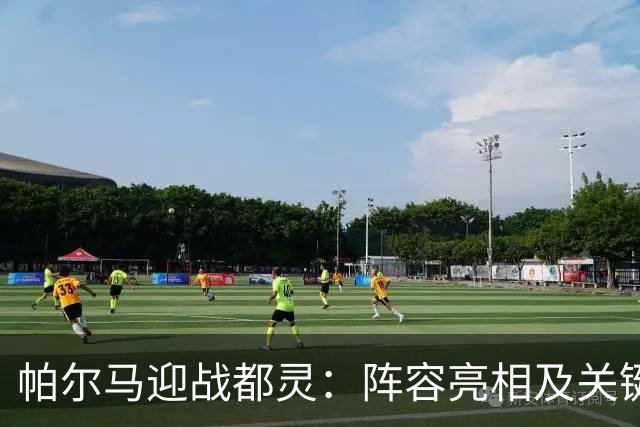 帕尔马迎战都灵：阵容亮相及关键球员分析