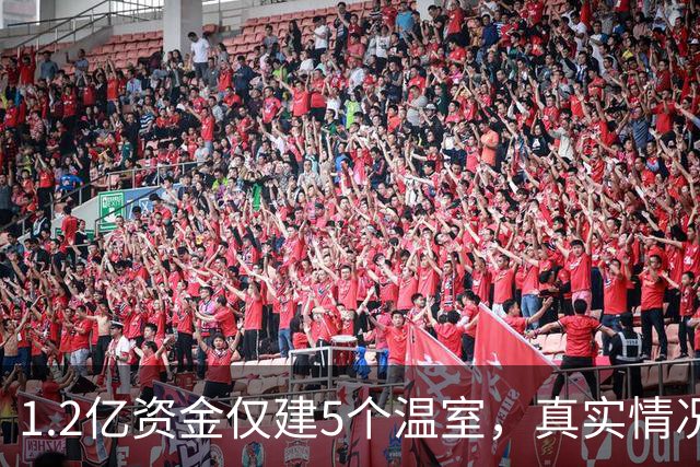 1.2亿资金仅建5个温室，真实情况令人震惊